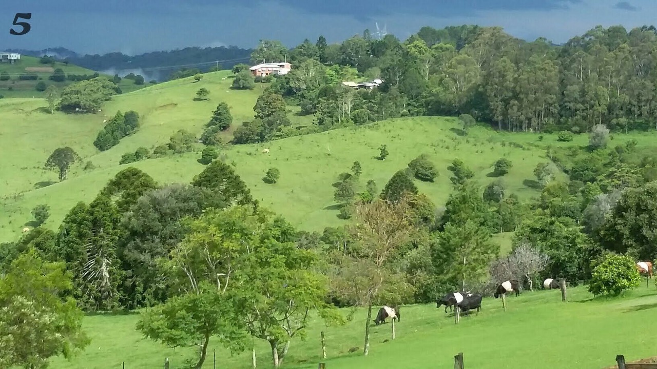 Photo of Others in Witta