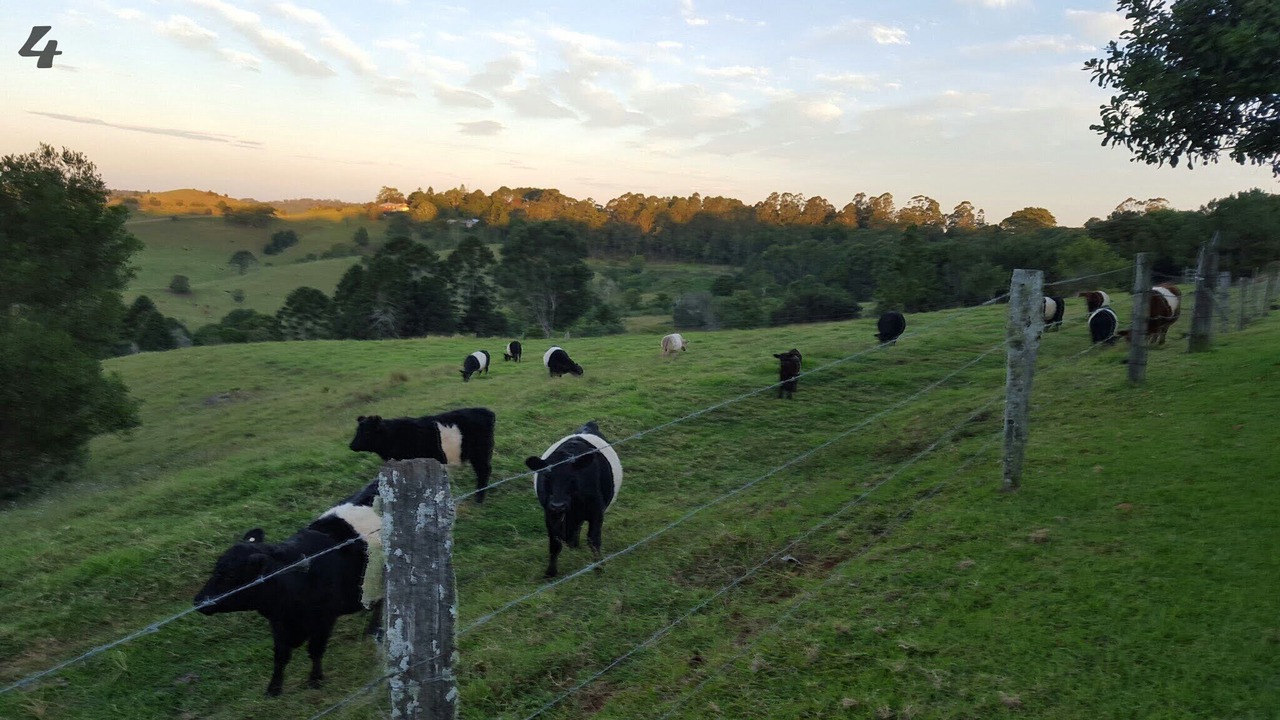 Photo of Outdoor in Witta