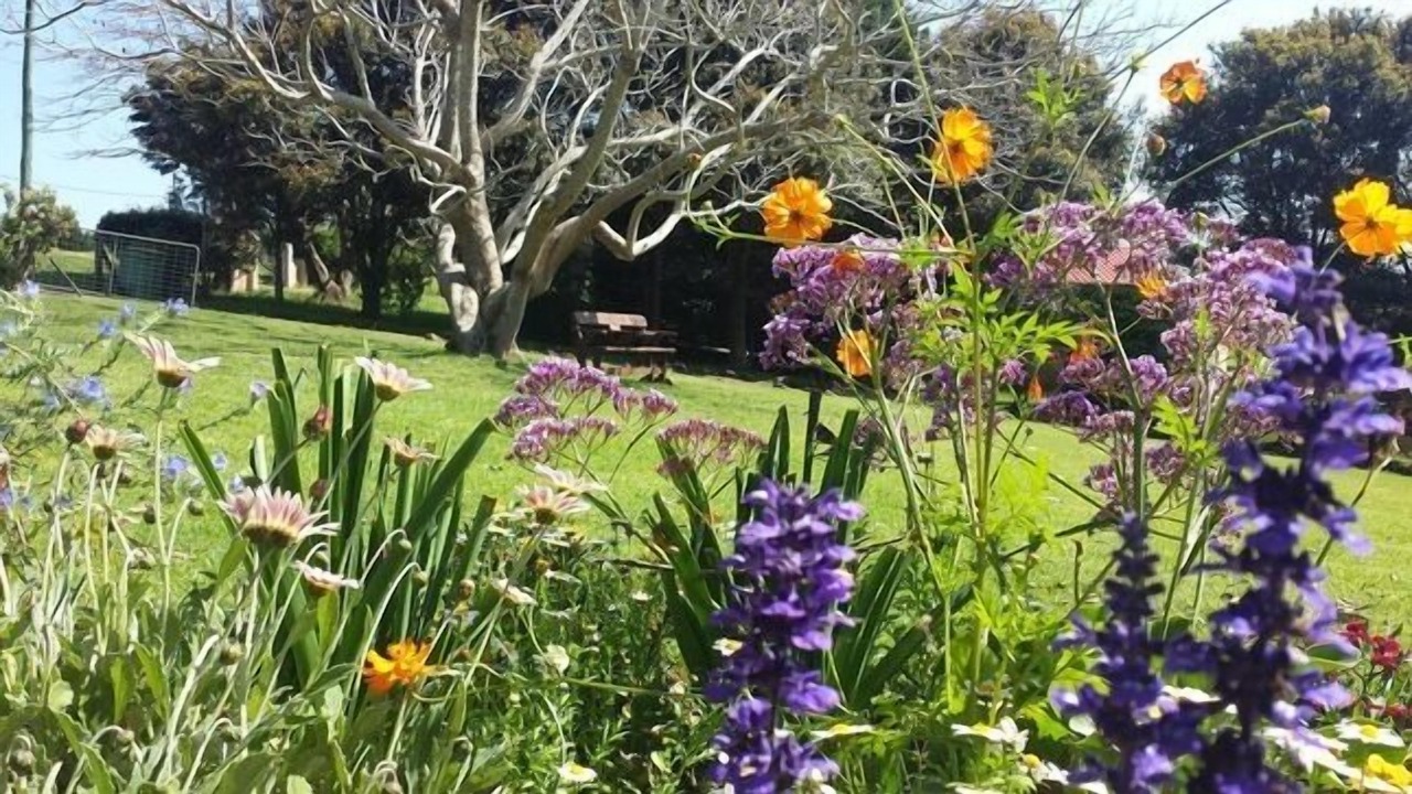 Photo of Outdoor in Witta