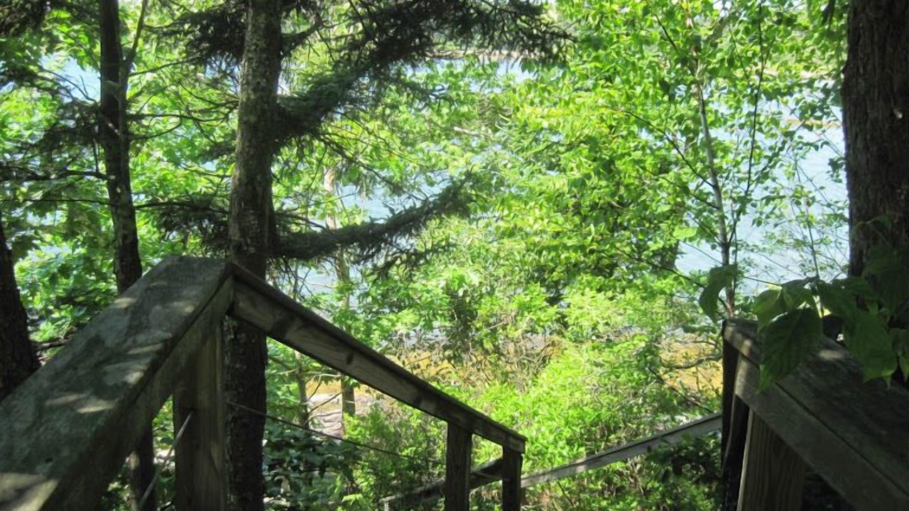 Photo of Outdoor in Waldoboro