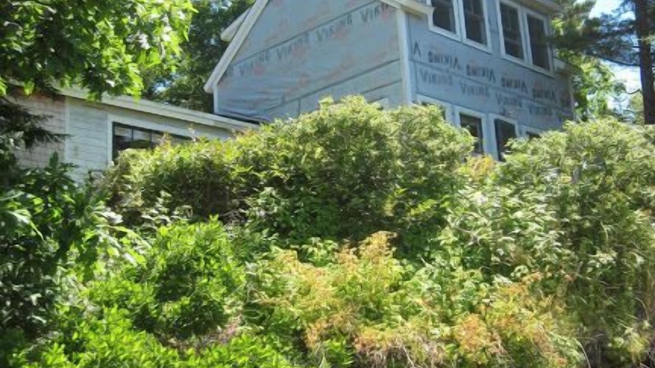 Photo of Others in Waldoboro