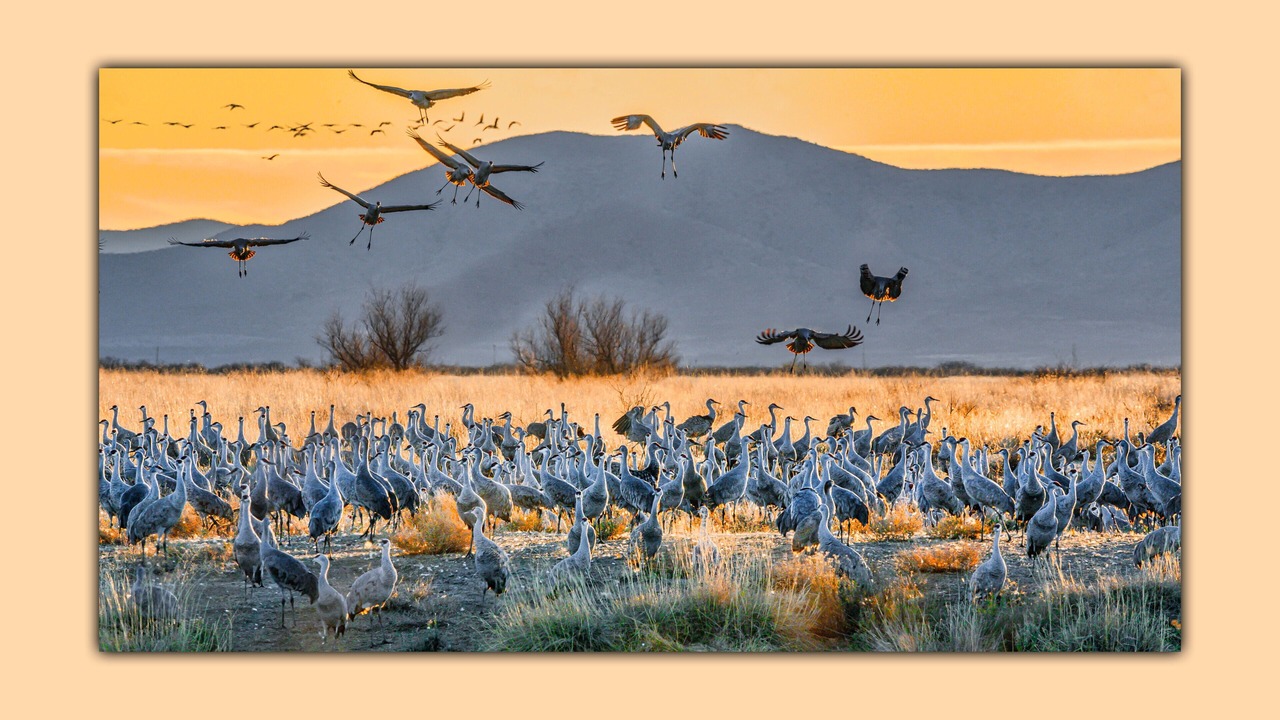 Photo of Others in Cochise County