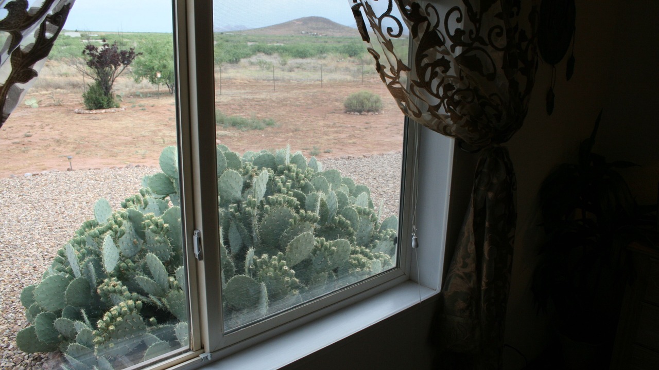 Photo of Others in Cochise County