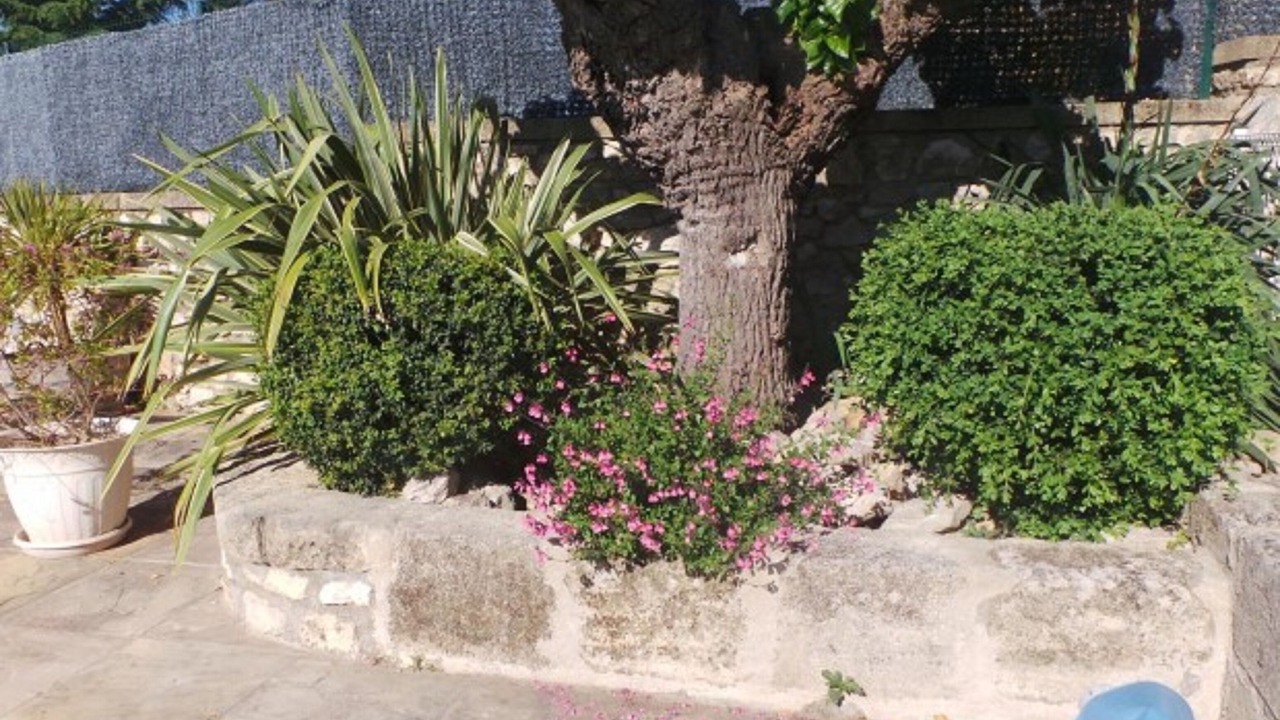 Photo of Outdoor in Combas