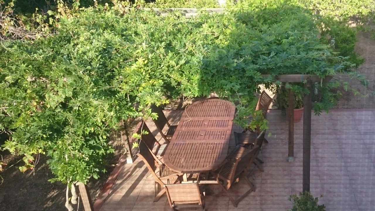 Photo of Outdoor in Tortosa