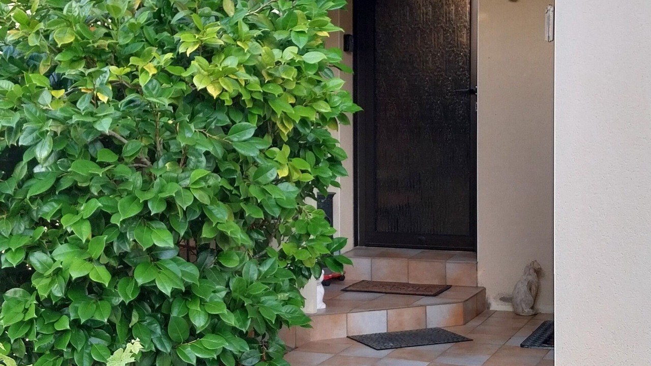 Photo of Outdoor in Piriac-sur-Mer