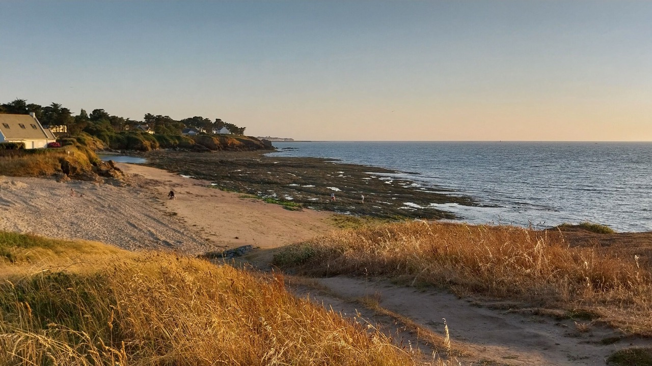 Photo of Others in Piriac-sur-Mer