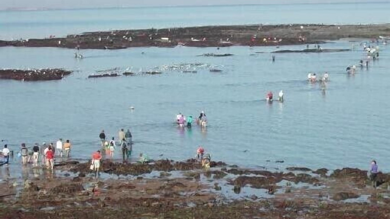 Photo of Others in Piriac-sur-Mer