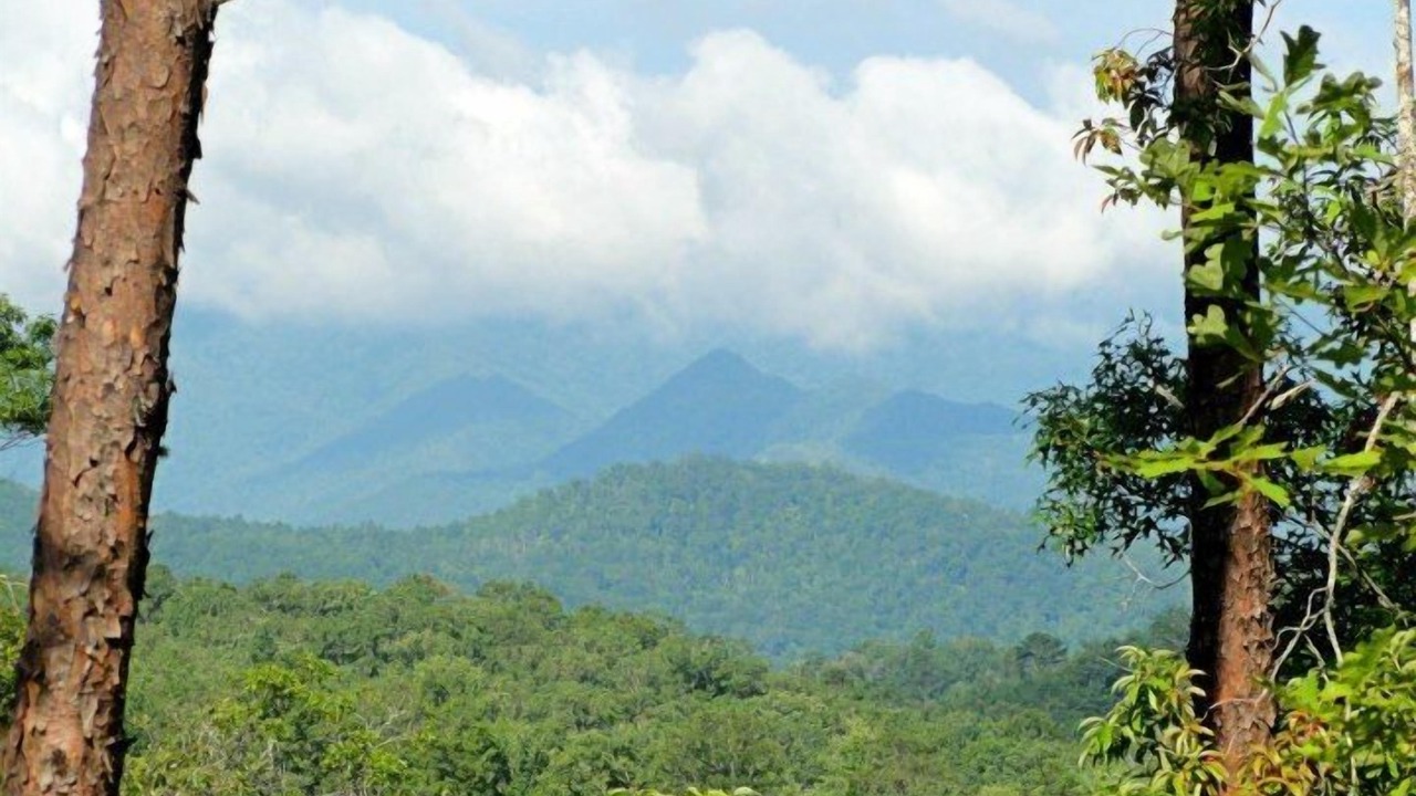 Photo of Outdoor in Franklin