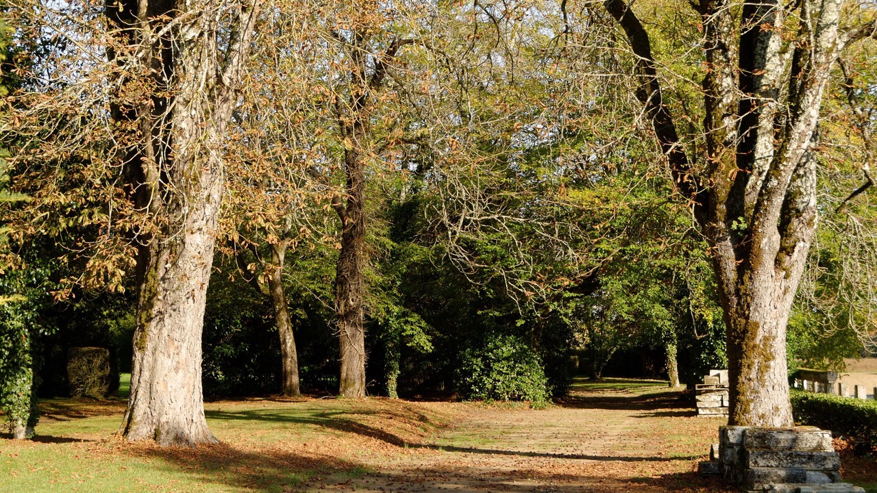 Photo of Outdoor in Marthon