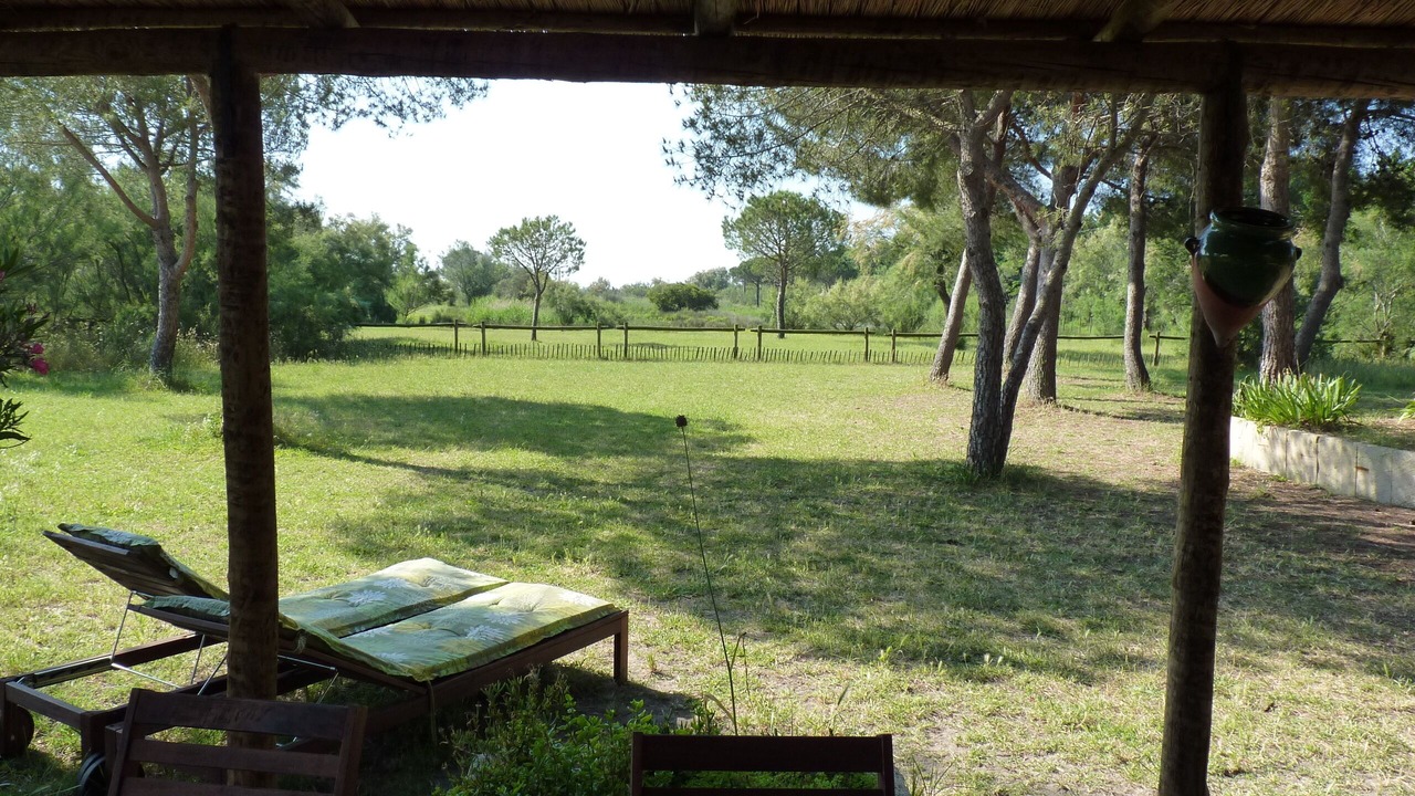 Photo of Outdoor in Saint-Laurent-d'Aigouze