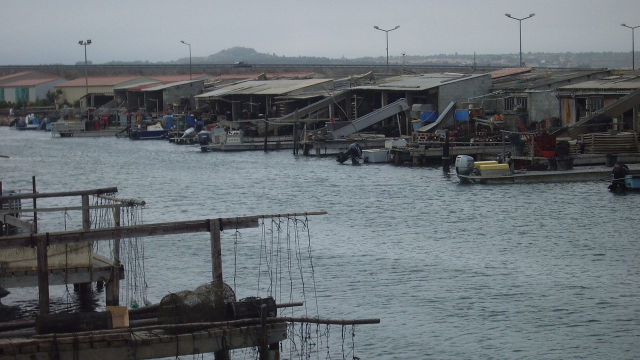 Photo of Others in Leucate