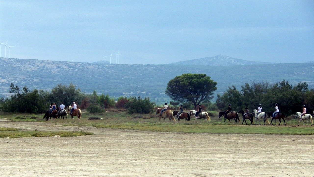 Photo of Others in Leucate