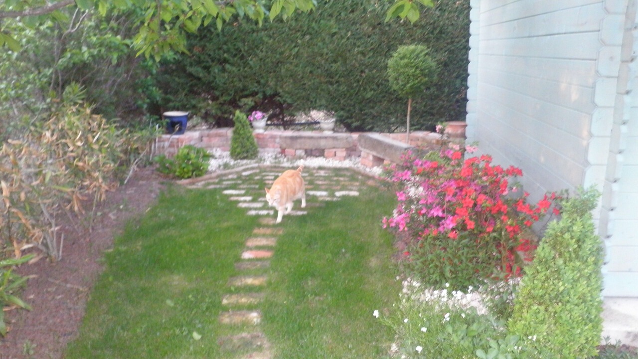 Photo of Outdoor in Les Mages