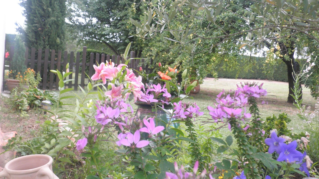 Photo of Outdoor in Les Mages