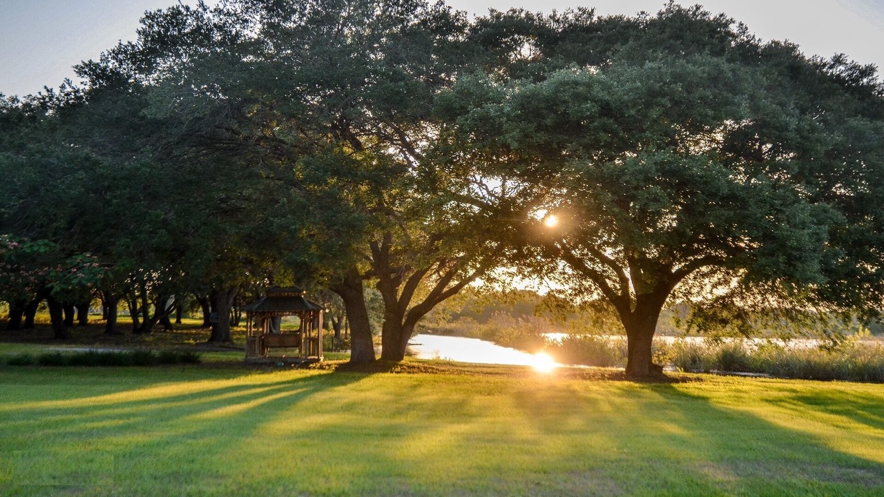 Photo of Outdoor in Clermont