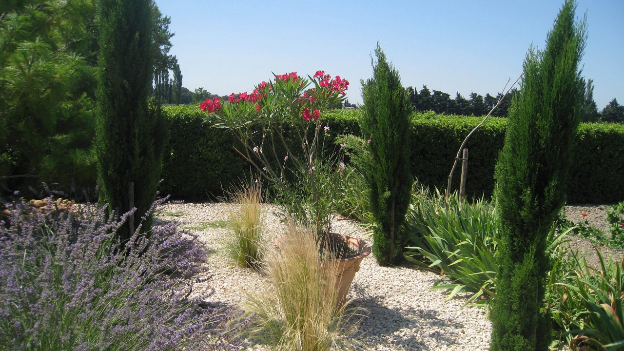 Photo of Outdoor in Courthezon