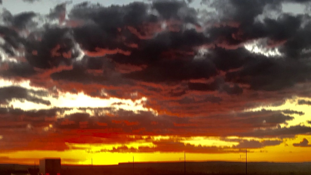 Photo of Others in San Tan Valley
