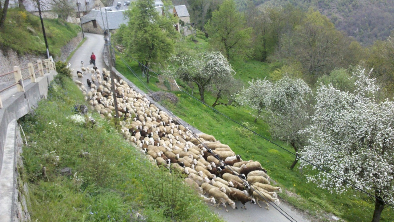Photo of Outdoor in Borderes-Louron
