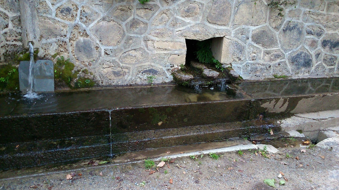 Photo of Outdoor in Borderes-Louron