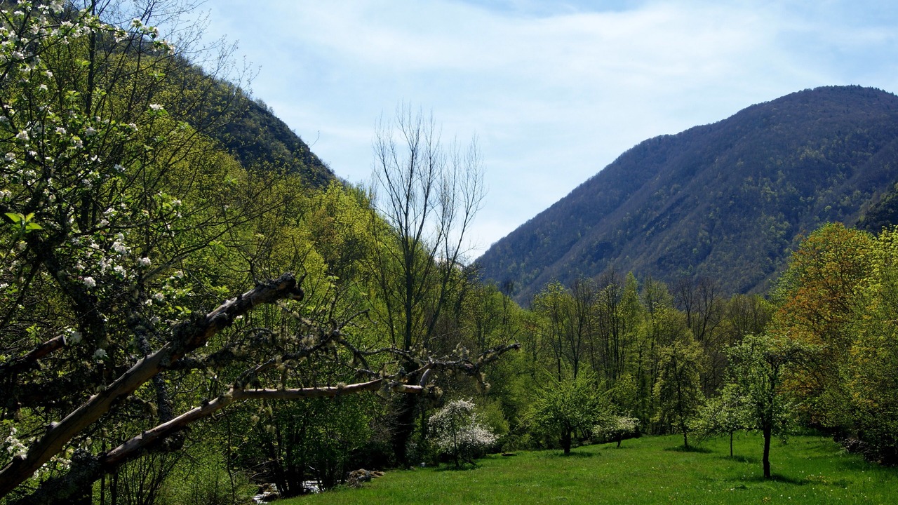Photo of Outdoor in Aston