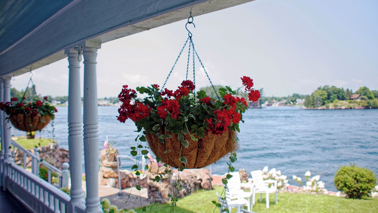 Photo of Outdoor in Wellesley Island