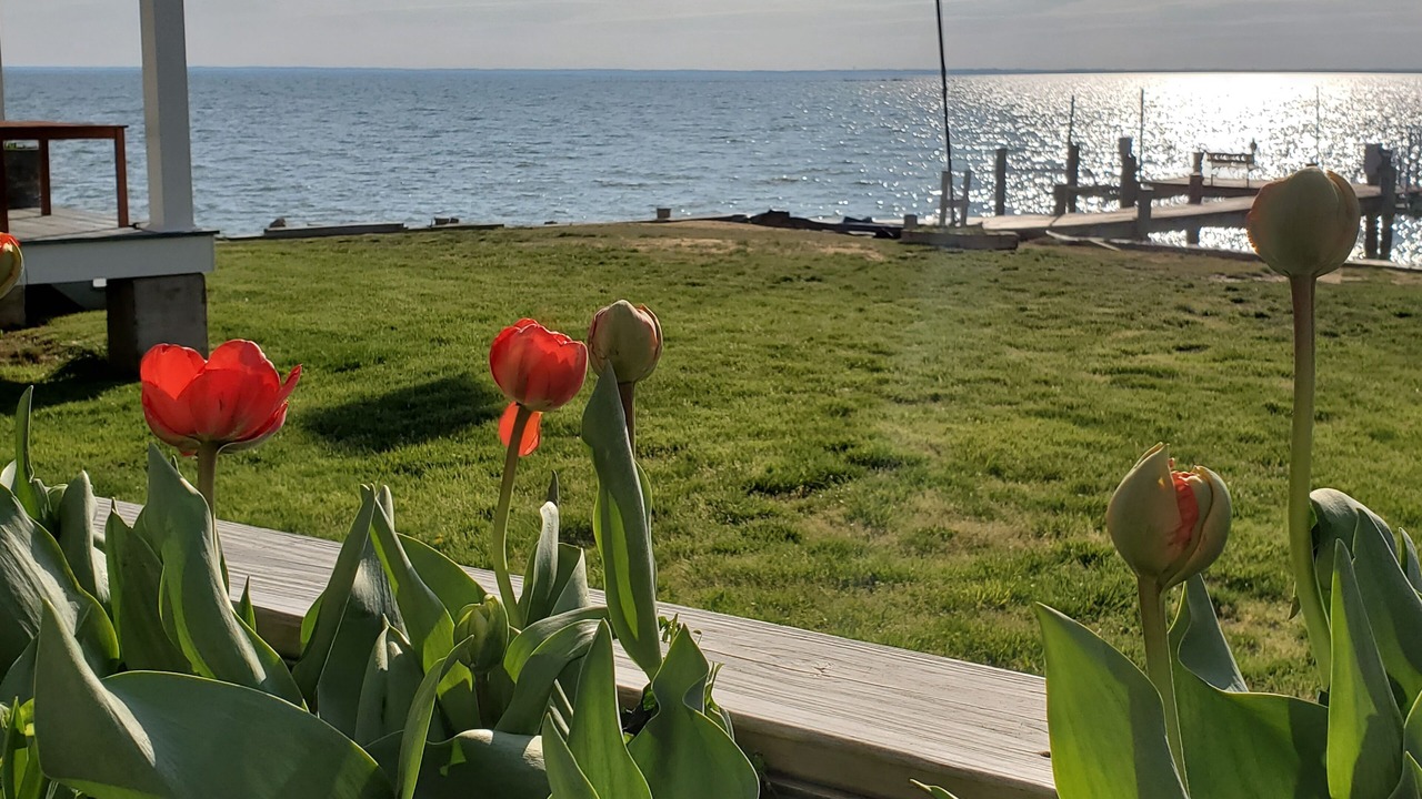 Photo of Outdoor in Tilghman