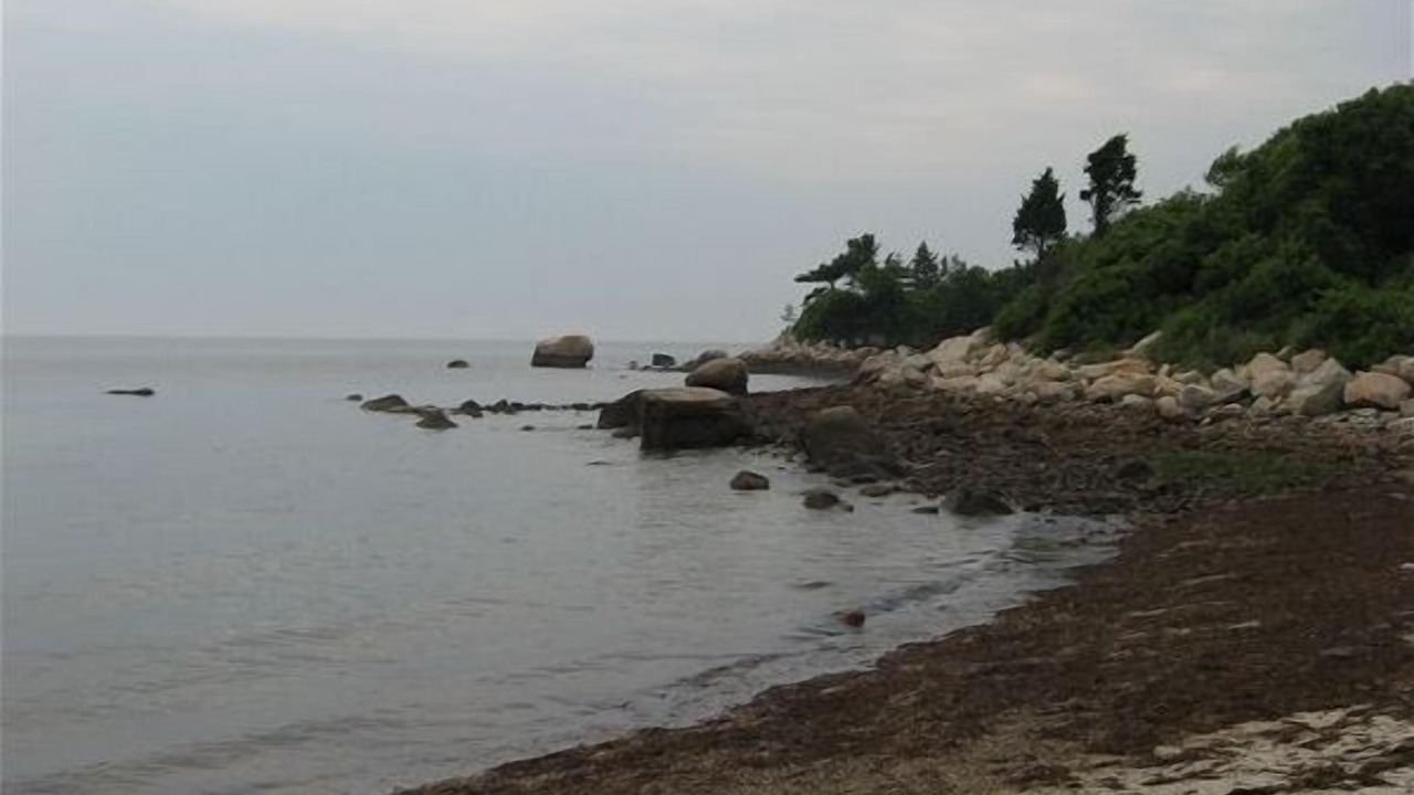 Photo of Others in Woods Hole