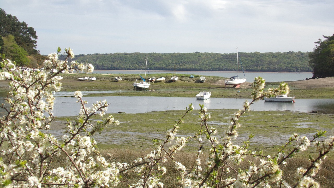Photo of Outdoor in Logonna-Daoulas