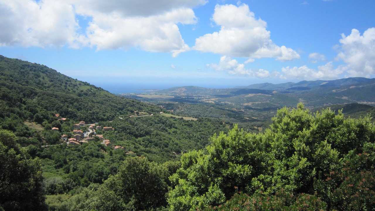 Photo of Others in Sollacaro