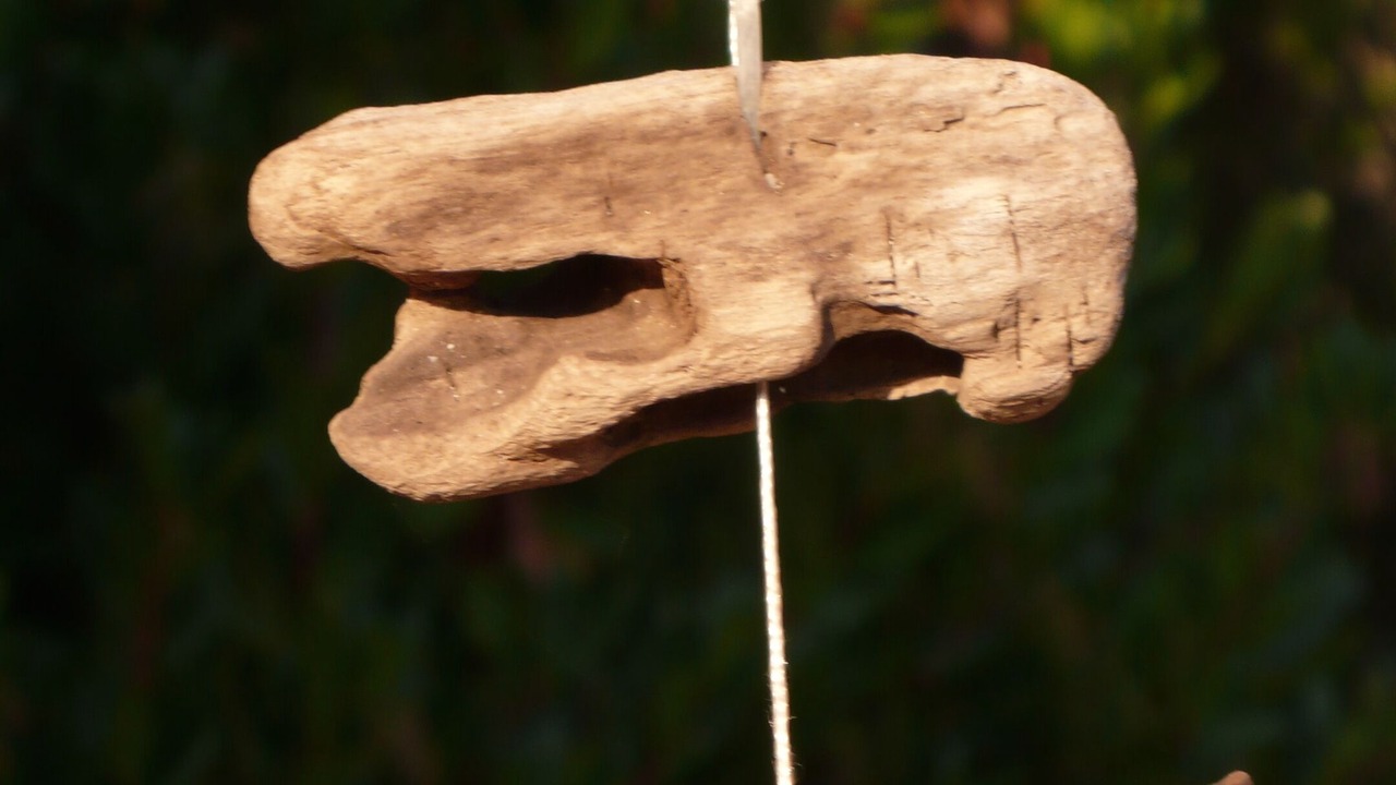 Photo of Outdoor in Sollacaro