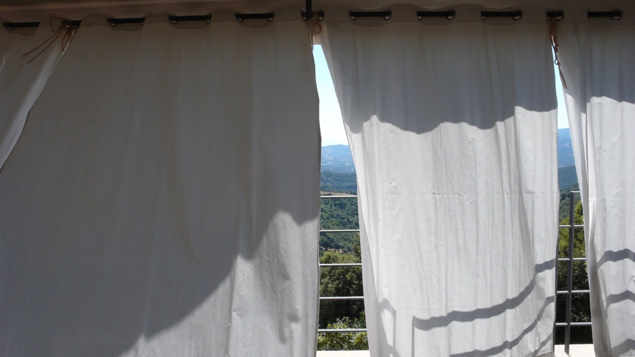 Photo of Others in Sollacaro