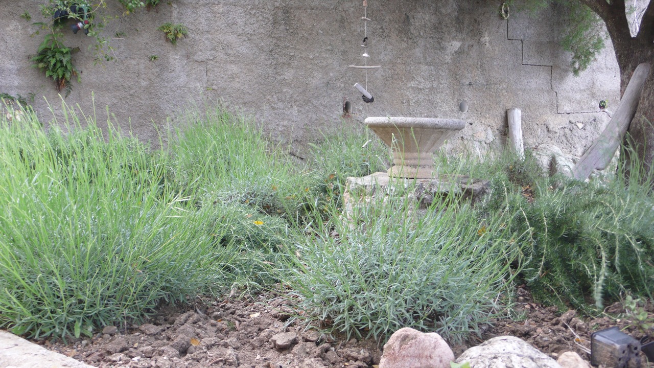 Photo of Outdoor in Sollacaro