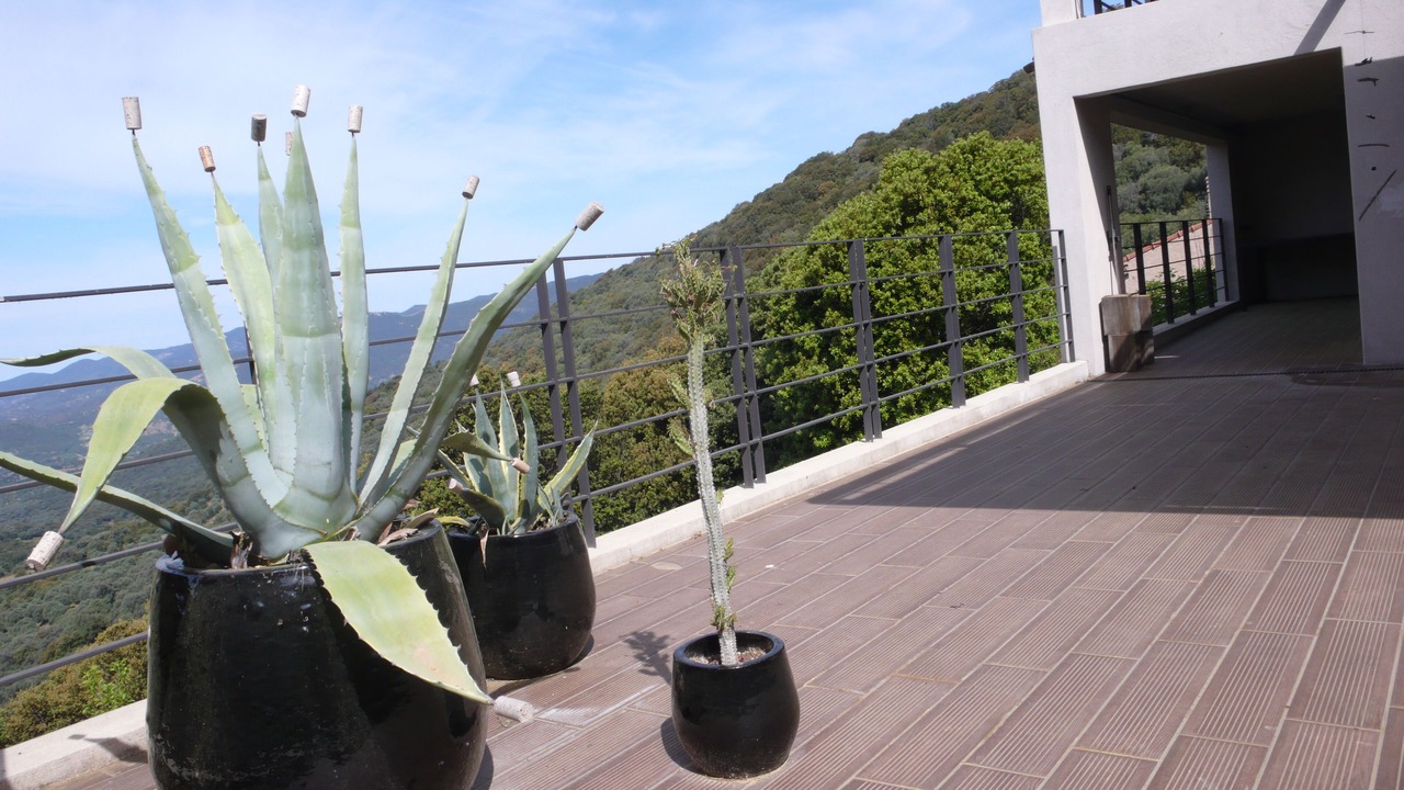 Photo of Outdoor in Sollacaro