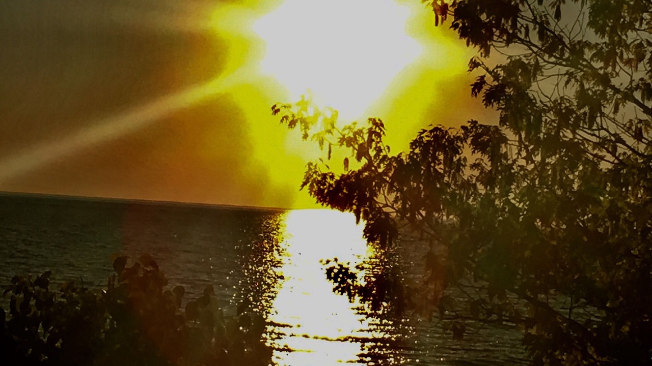 Photo of Others in Harbor Springs