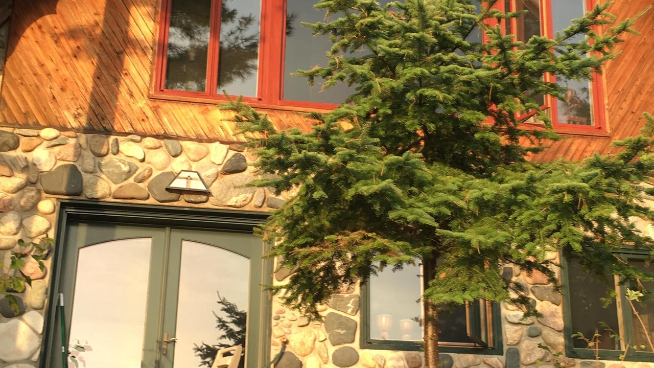 Photo of Outdoor in Harbor Springs