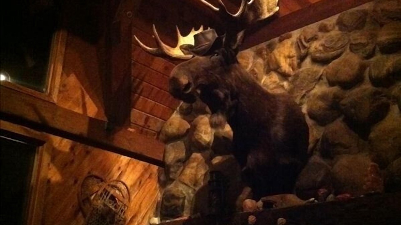 Photo of Others in Harbor Springs