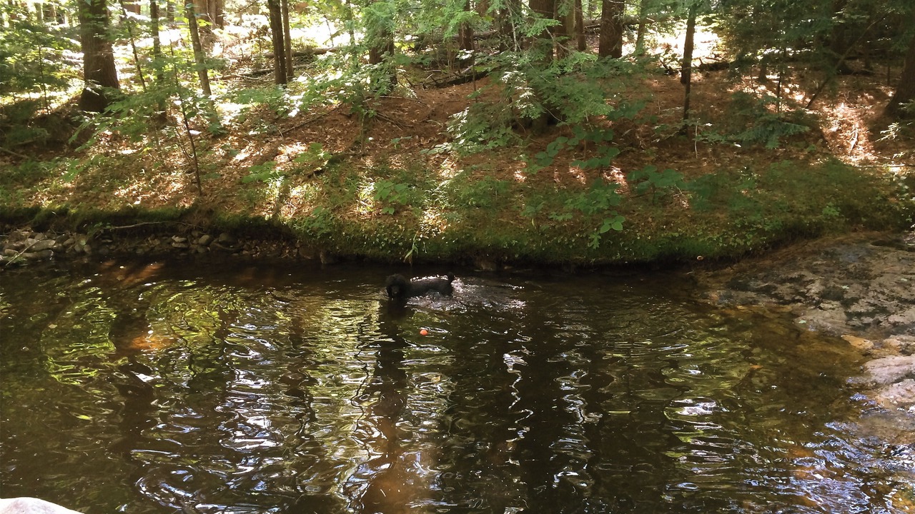 Photo of Others in Danbury