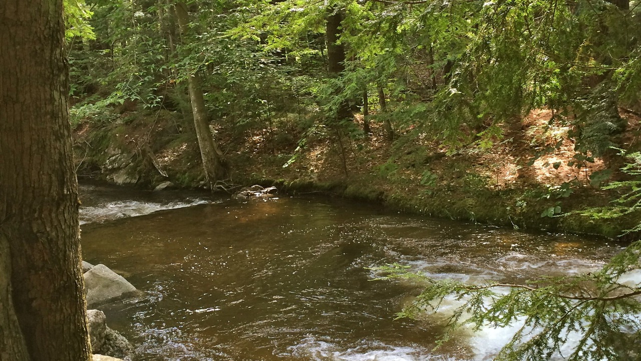 Photo of Others in Danbury