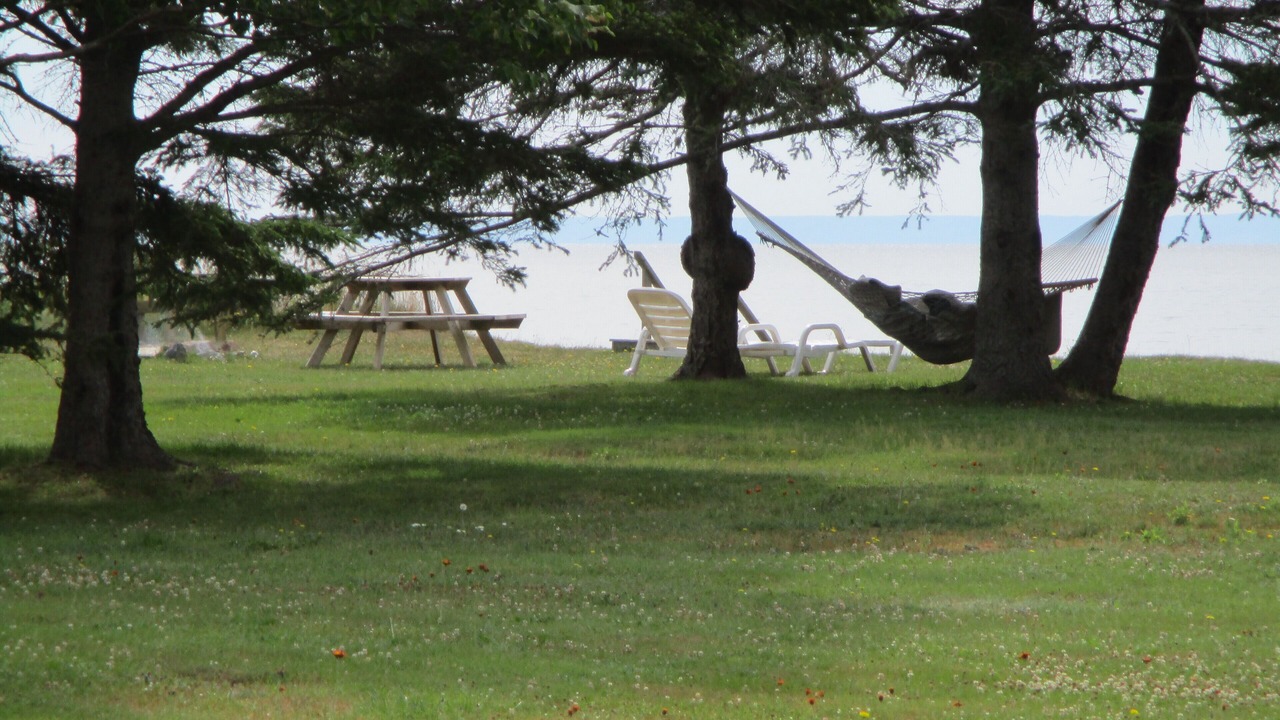 Photo of Outdoor in Wood Islands