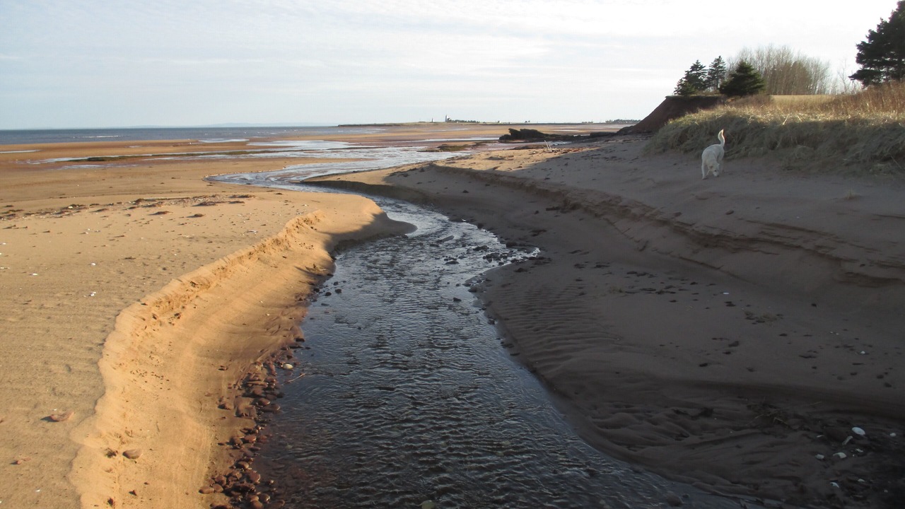 Photo of Others in Wood Islands