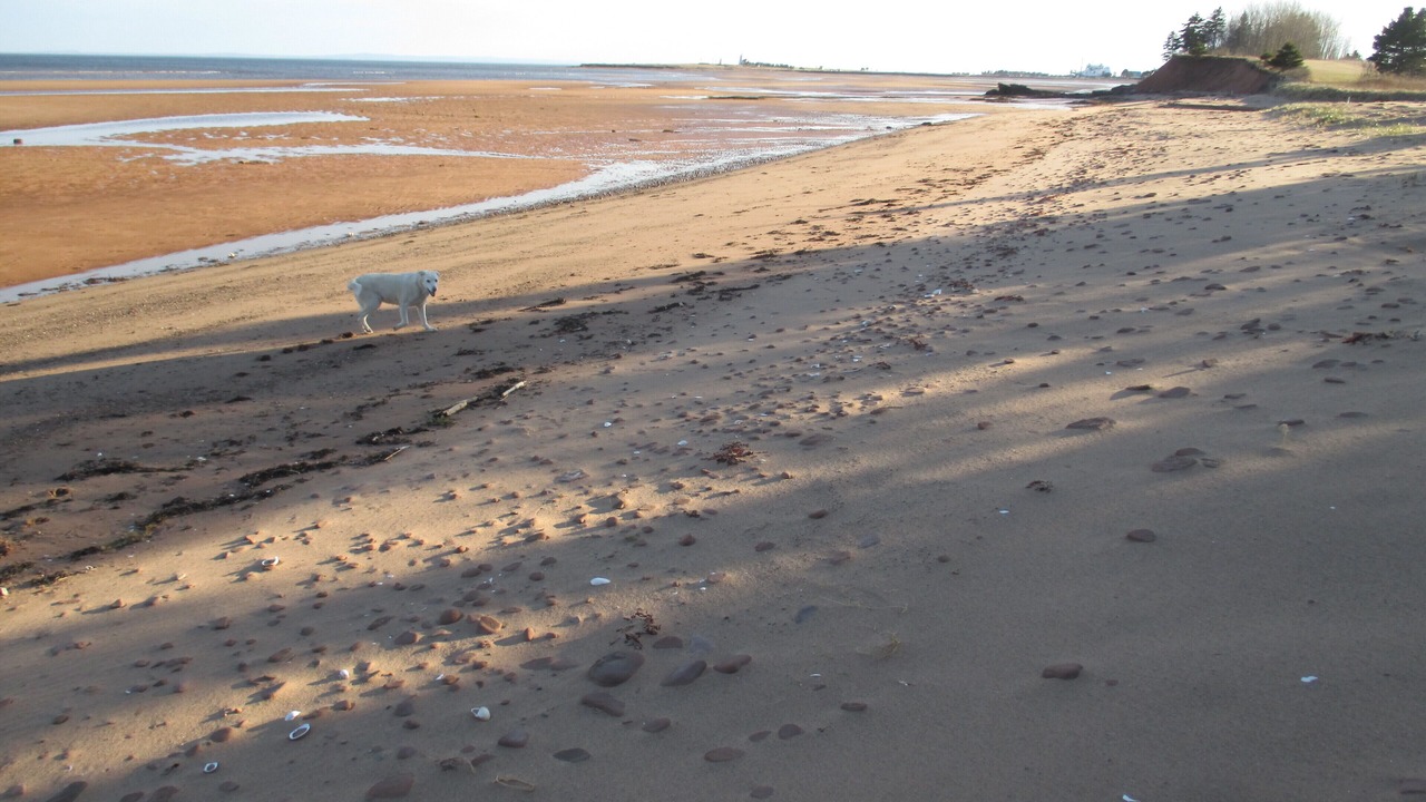 Photo of Others in Wood Islands