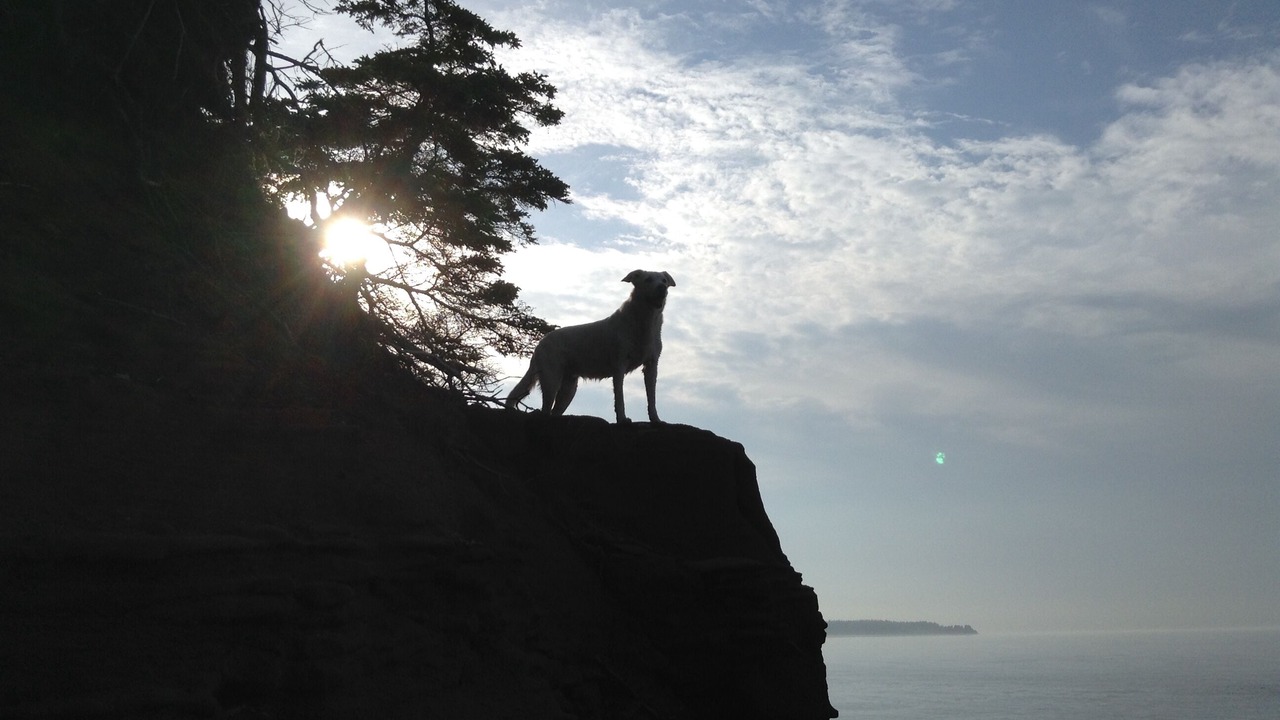 Photo of Others in Wood Islands