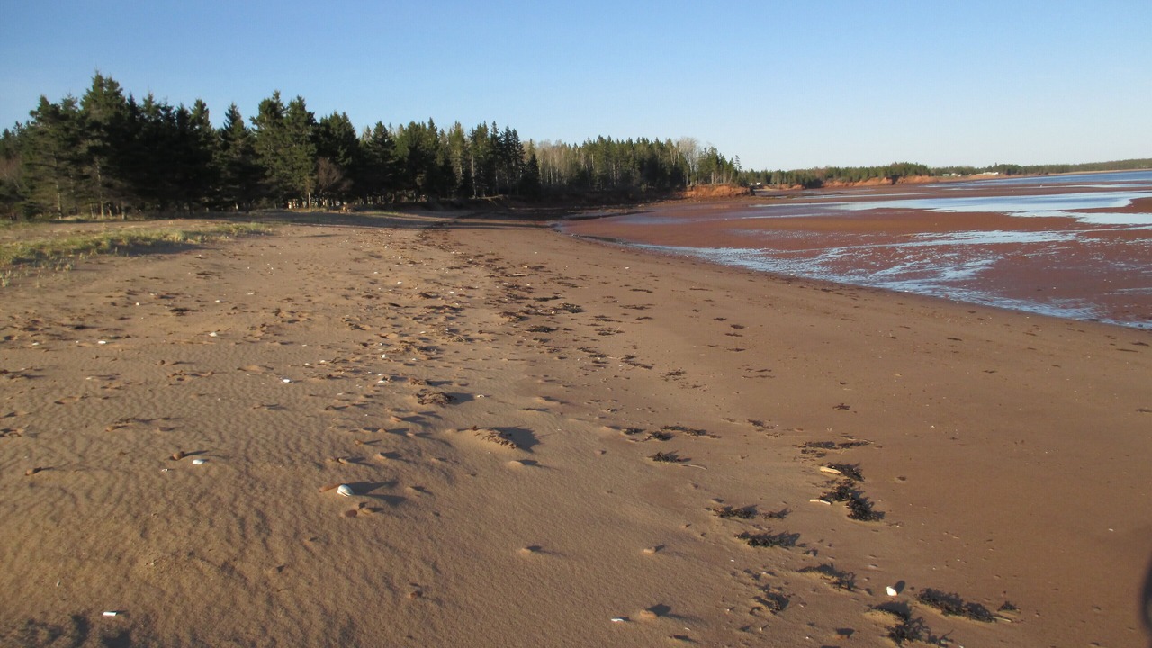 Photo of Others in Wood Islands