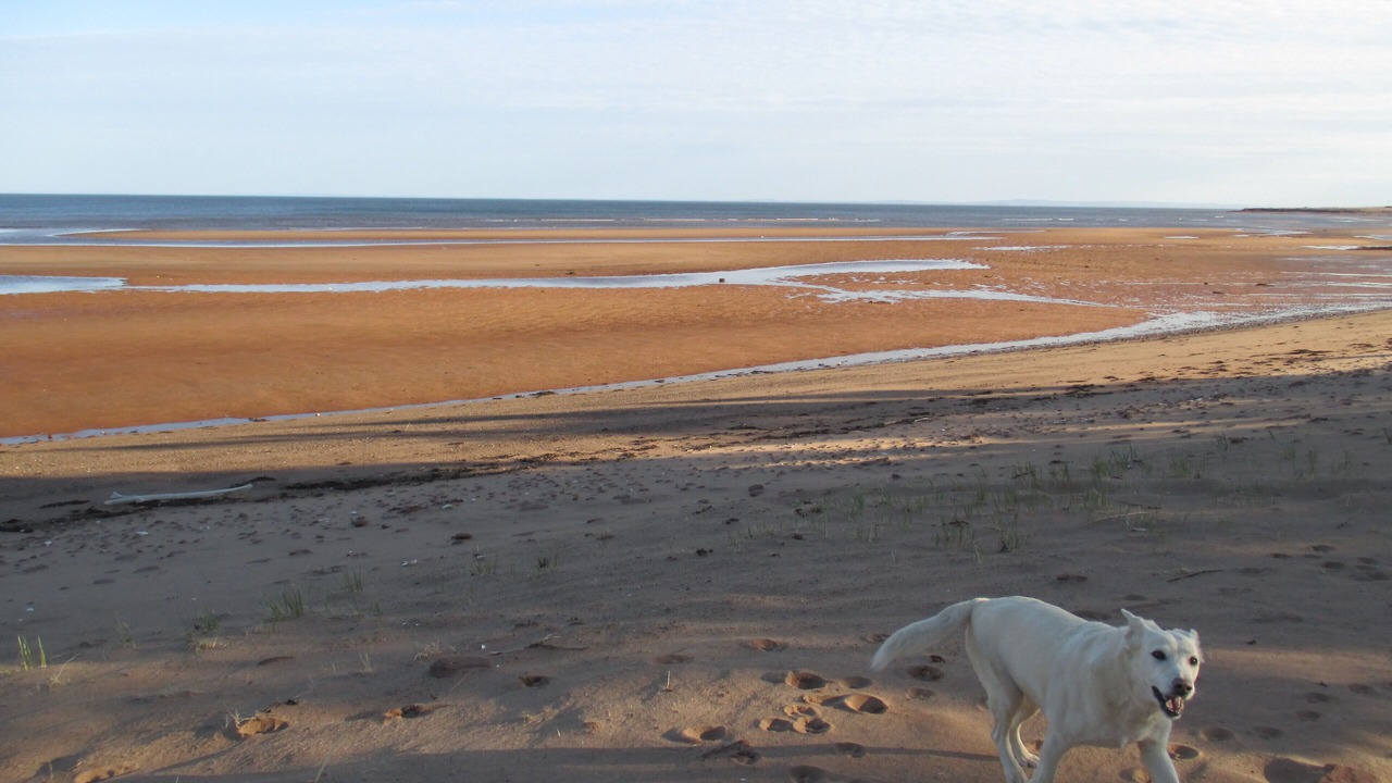 Photo of Others in Wood Islands