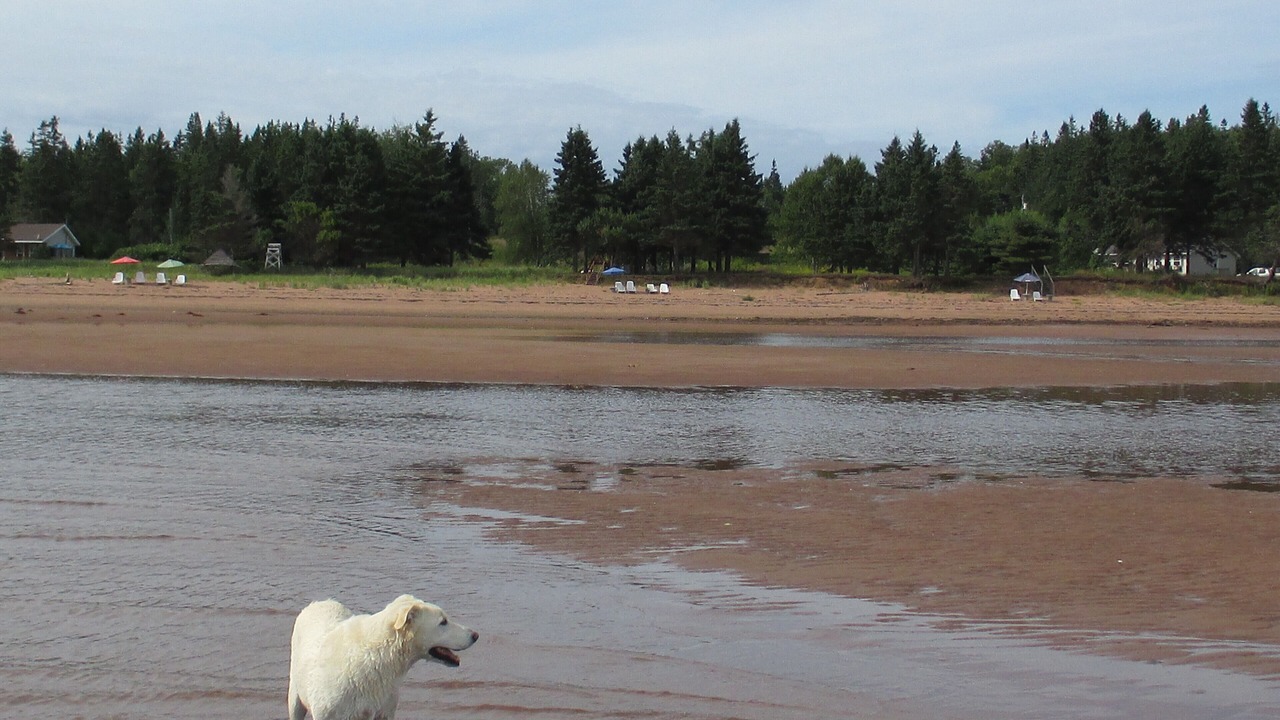 Photo of Others in Wood Islands