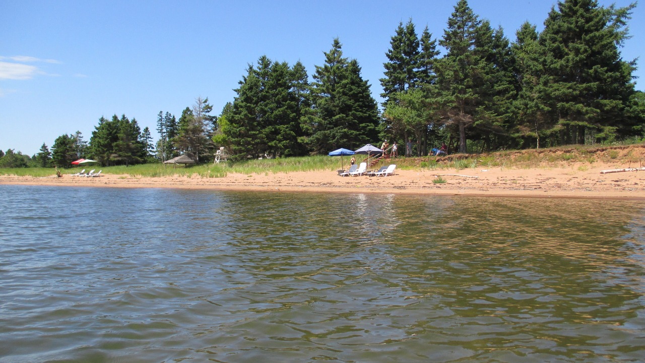 Photo of Others in Wood Islands