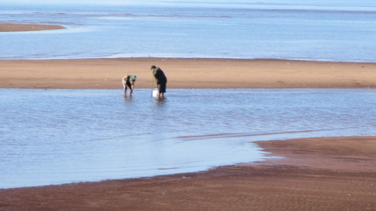 Photo of Others in Wood Islands