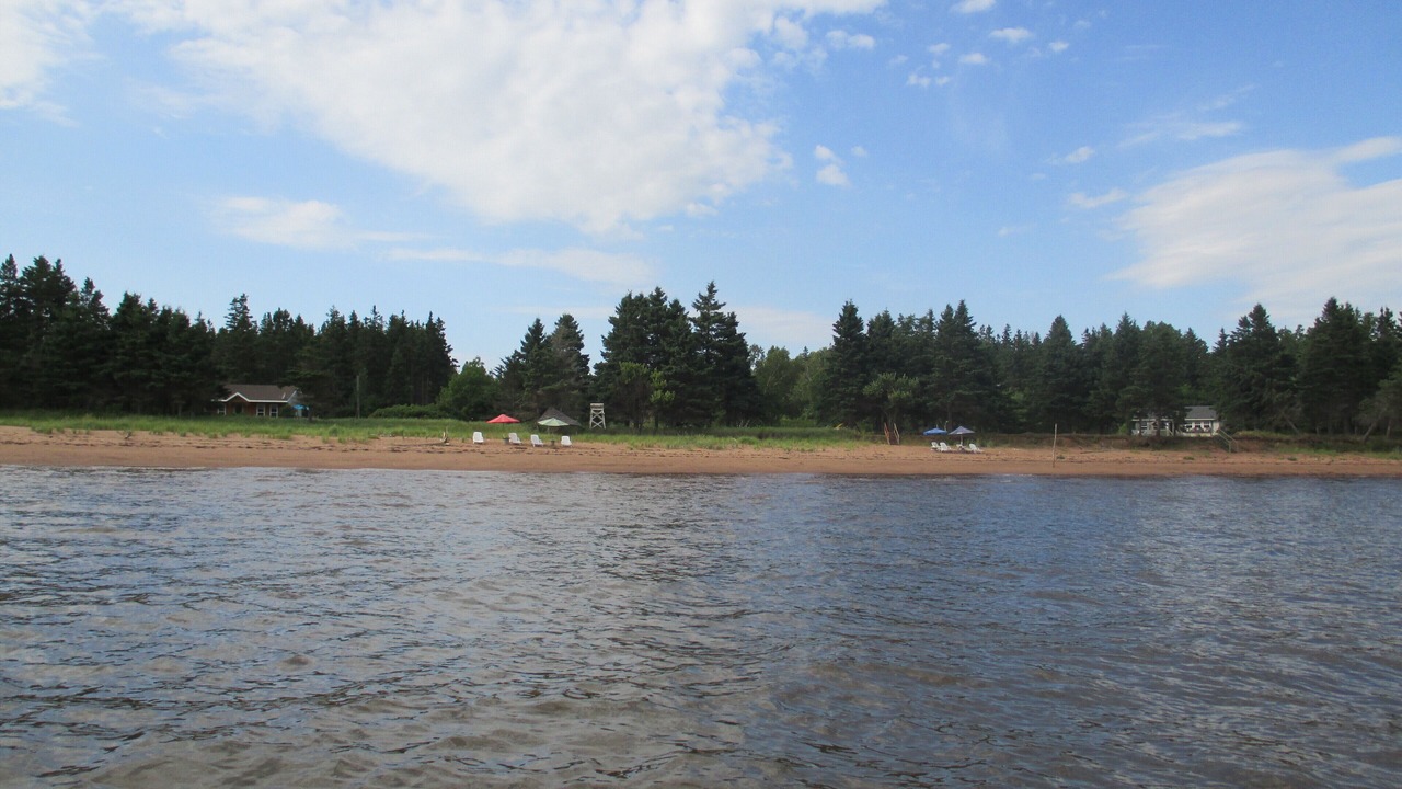 Photo of Others in Wood Islands