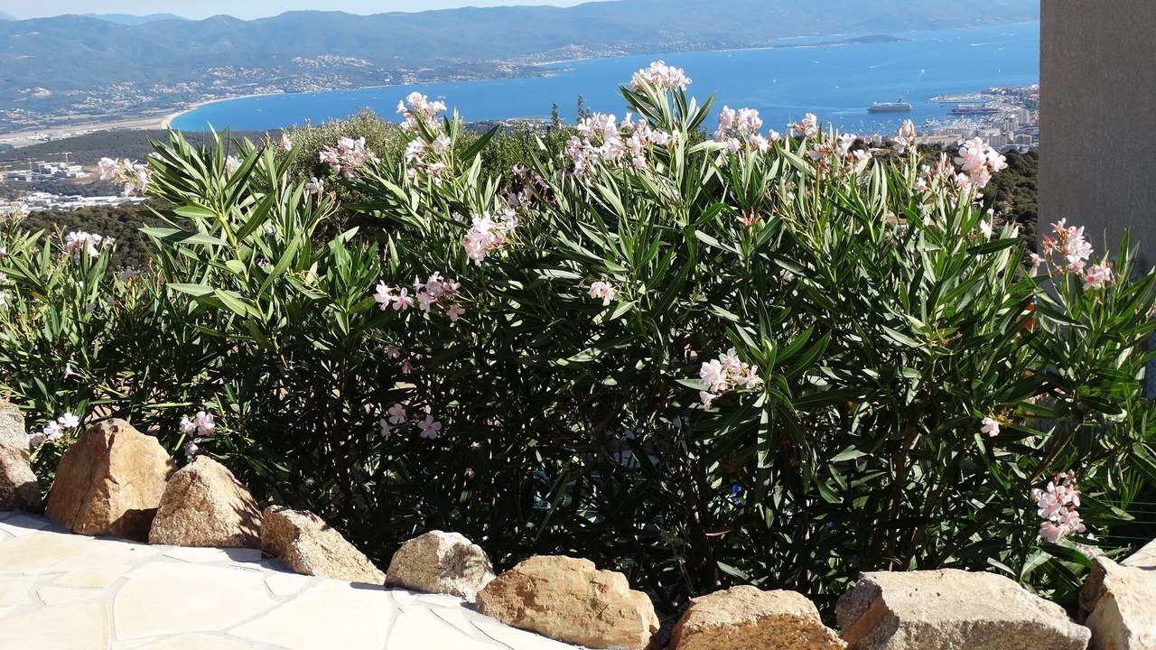 Photo of Outdoor in Alata